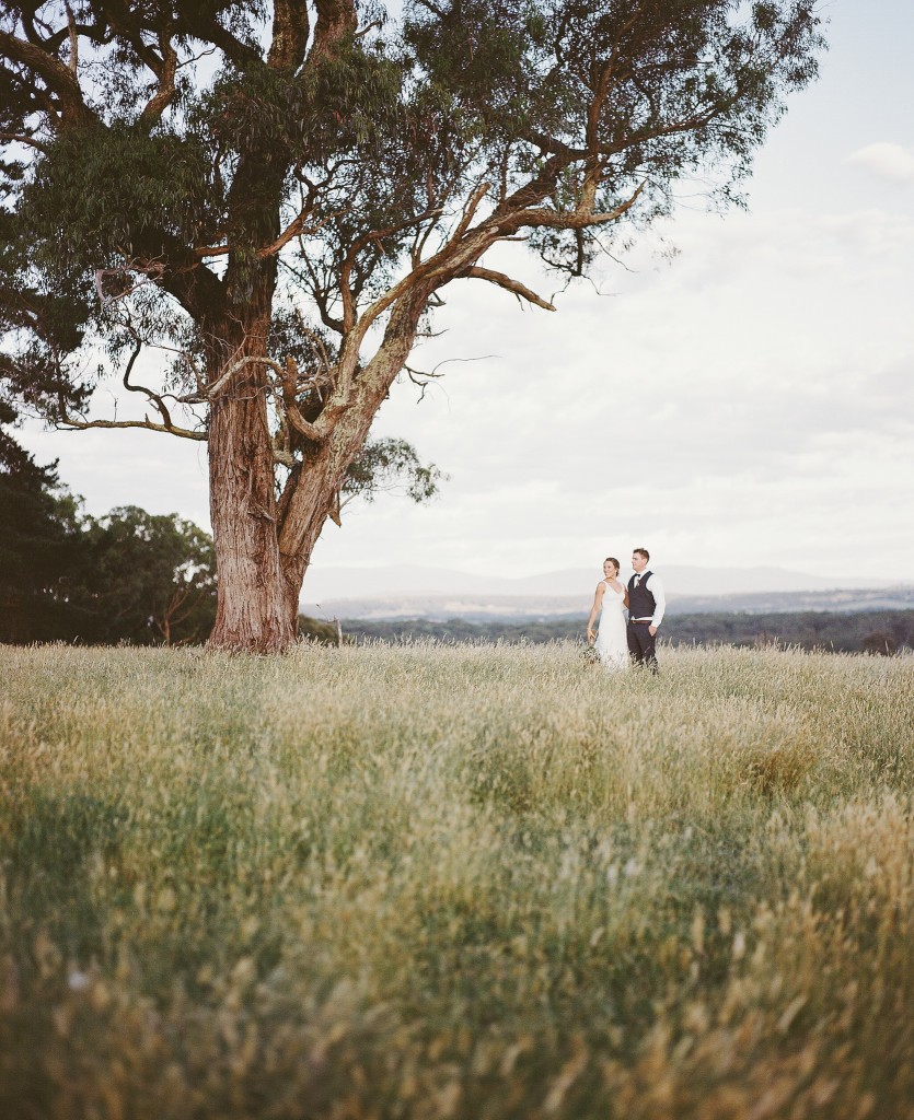 freethebird film-1-9