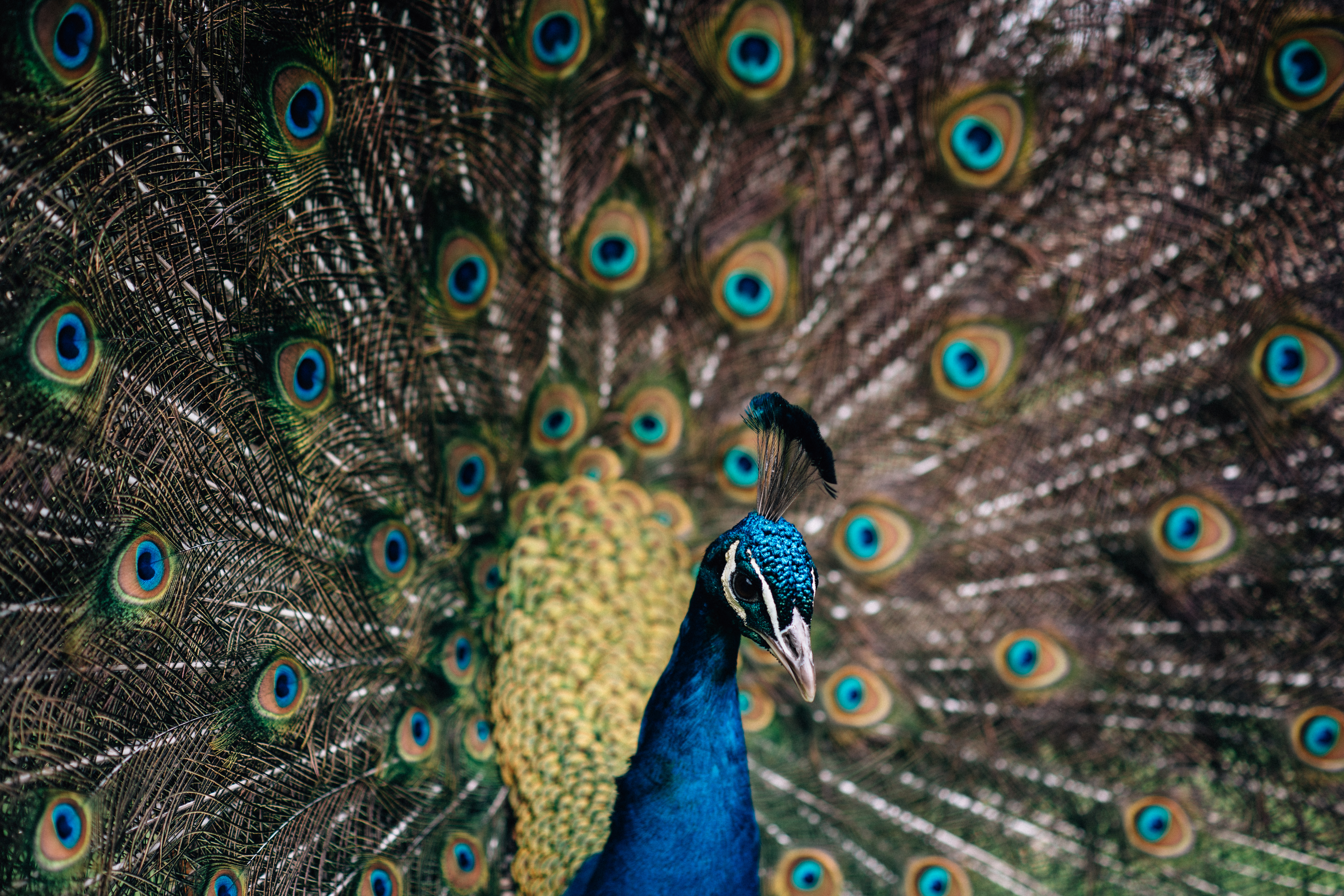 Paulo Santos Wedding Photographer (7)