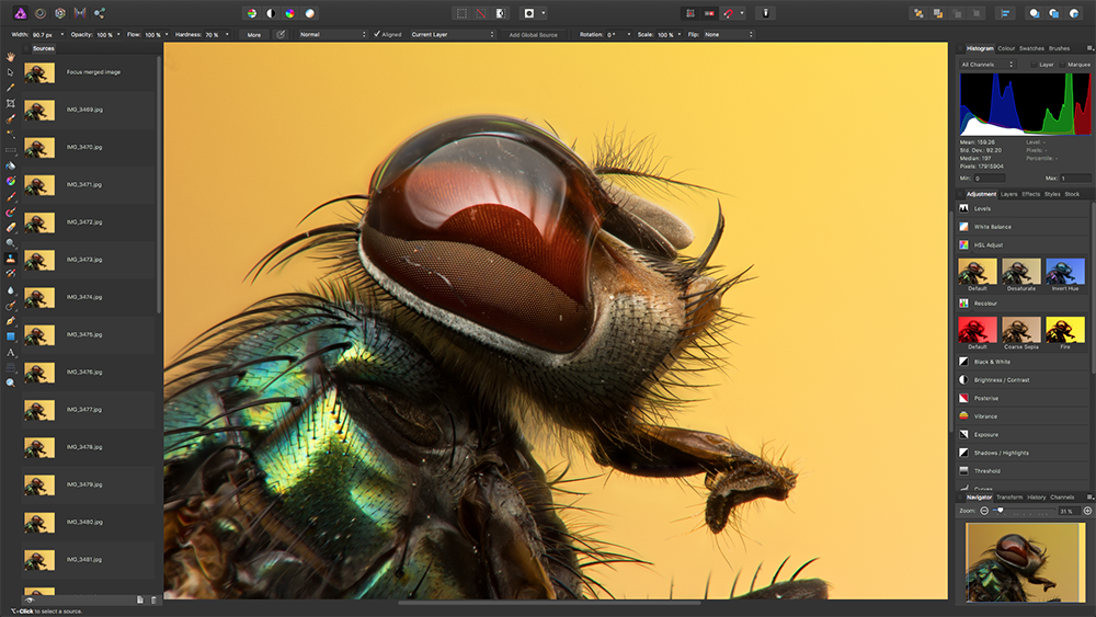 Focus Merge--image courtesy of Affinity Photo