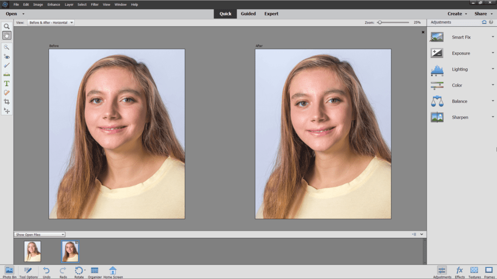 adobe photoshop vs adobe photoshop elements