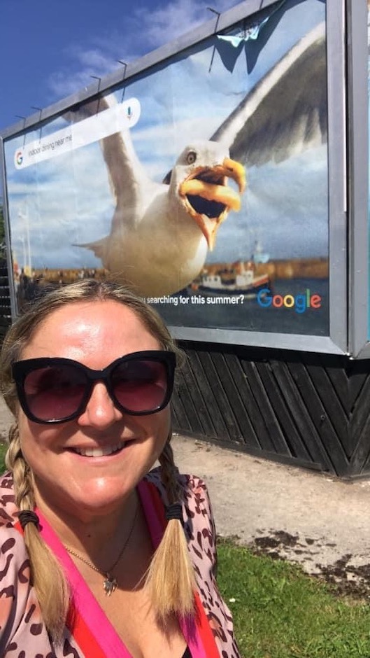 iPhone photo of seagull on Google billboard.