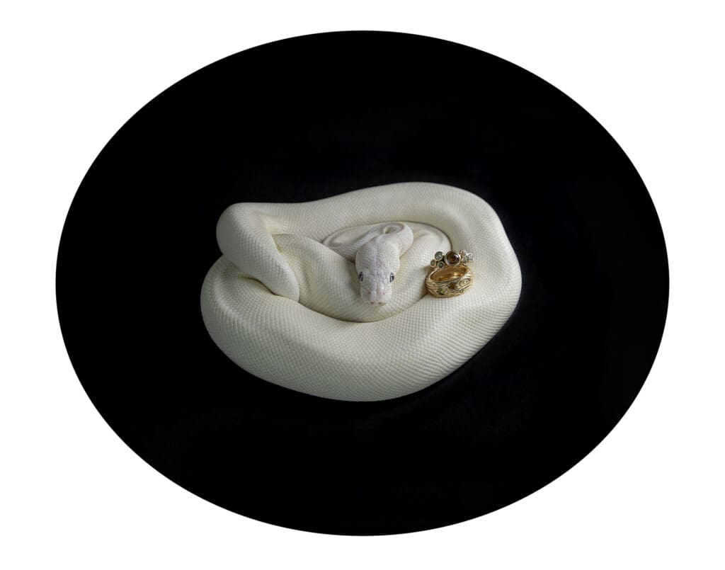 snake portrait wppi dayna riesgo