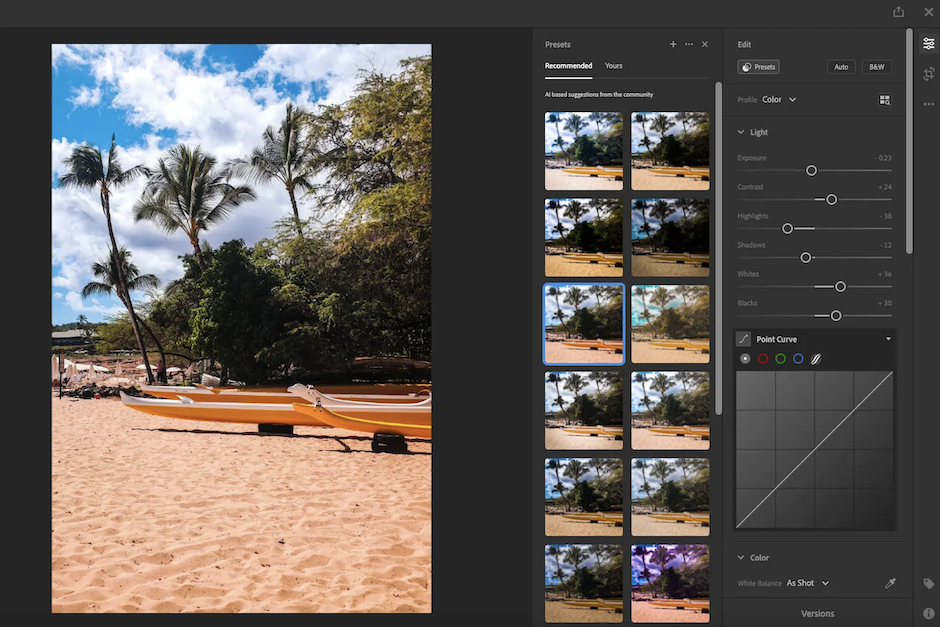 Premium presets in Lightroom includes 8 categories.