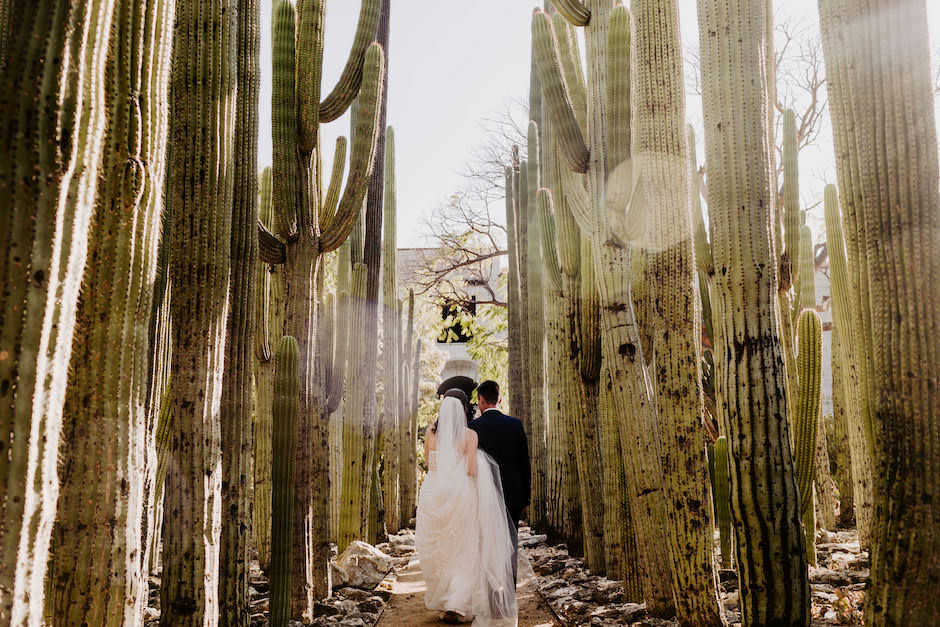 Bride and groom walk among tall cacti "forest".