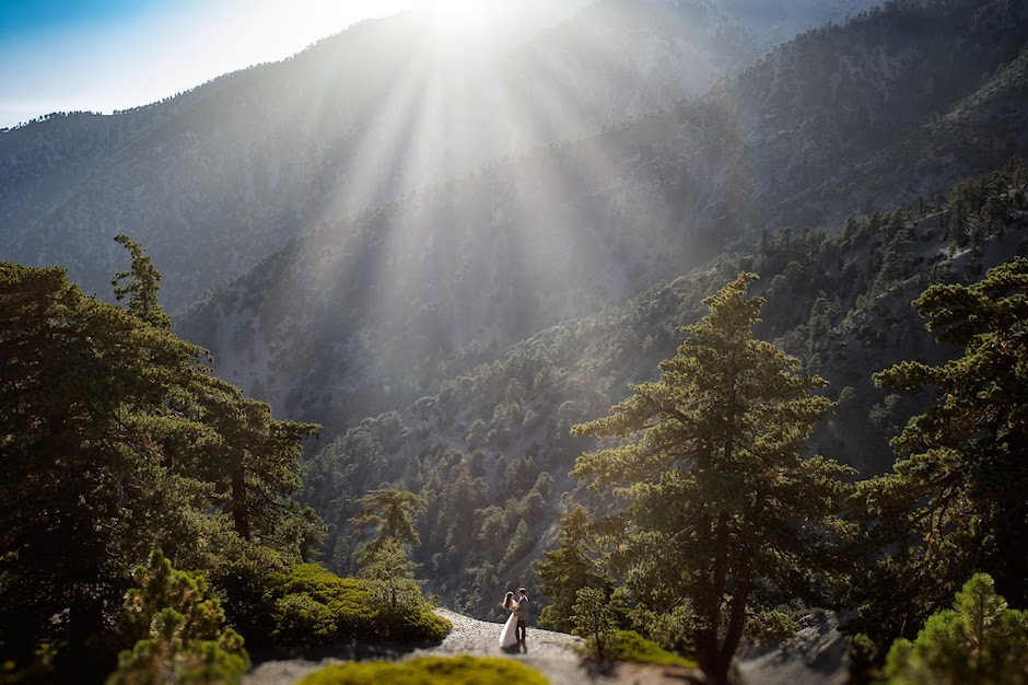 lens flare example on trees.