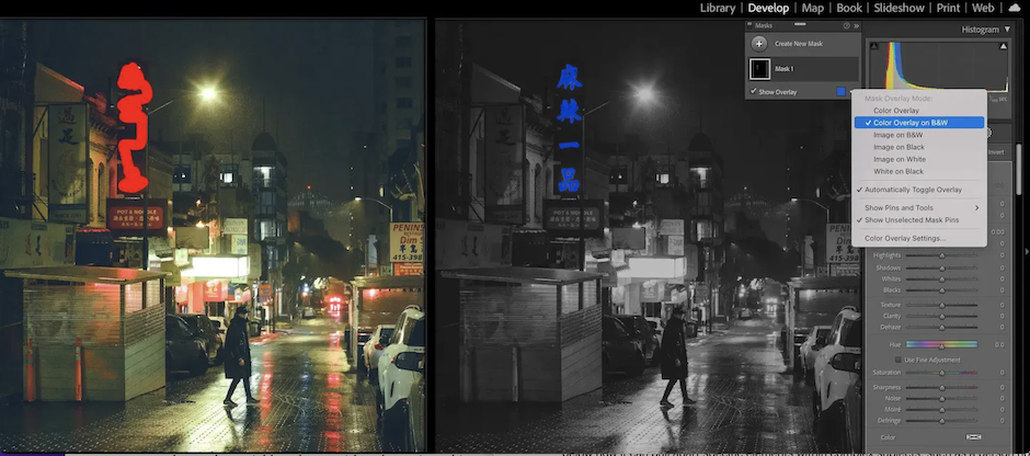 Lightroom's newest AI tools include a Select Object tool as shown here.